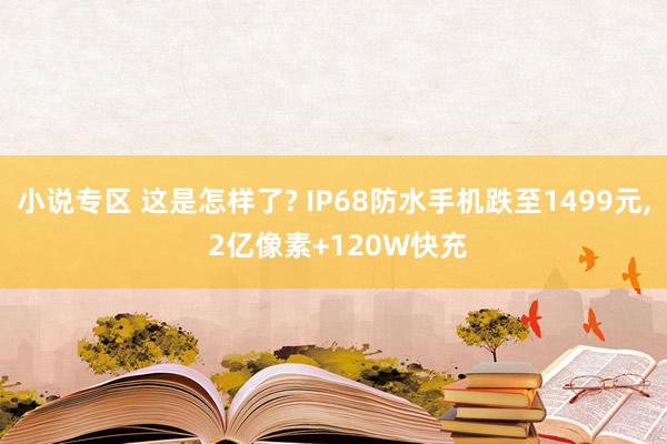 小说专区 这是怎样了? IP68防水手机跌至1499元, 2亿像素+120W快充