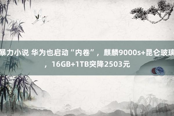 暴力小说 华为也启动“内卷”，麒麟9000s+昆仑玻璃，16GB+1TB突降2503元