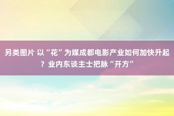 另类图片 以“花”为媒成都电影产业如何加快升起？业内东谈主士把脉“开方”