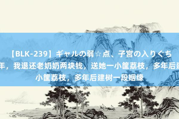 【BLK-239】ギャルの弱☆点、子宮の入りぐちぃ EMIRI 那年，我退还老奶奶两块钱，送她一小筐荔枝，多年后建树一段姻缘