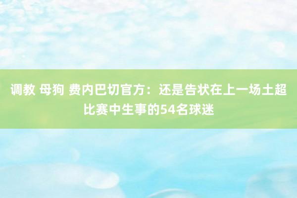 调教 母狗 费内巴切官方：还是告状在上一场土超比赛中生事的54名球迷