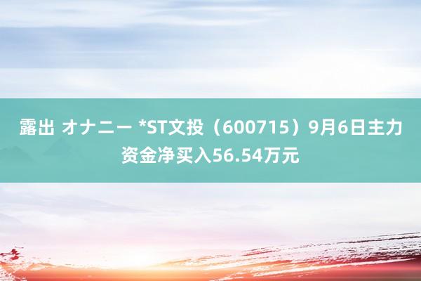 露出 オナニー *ST文投（600715）9月6日主力资金净买入56.54万元