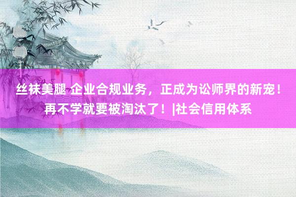 丝袜美腿 企业合规业务，正成为讼师界的新宠！再不学就要被淘汰了！|社会信用体系