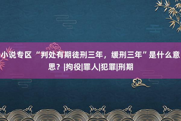 小说专区 “判处有期徒刑三年，缓刑三年”是什么意思？|拘役|罪人|犯罪|刑期