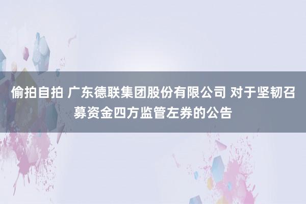 偷拍自拍 广东德联集团股份有限公司 对于坚韧召募资金四方监管左券的公告