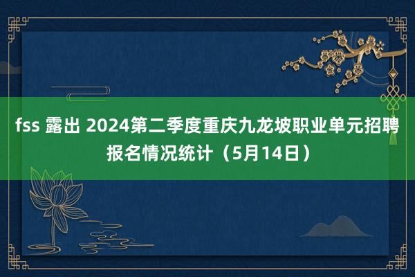 fss 露出 2024第二季度重庆九龙坡职业单元招聘报名情况统计（5月14日）